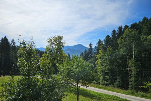 Huettenbauer00001 Huettenbauer00001